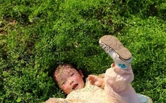 夫君个个都是狼